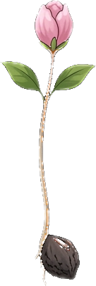 Sprout